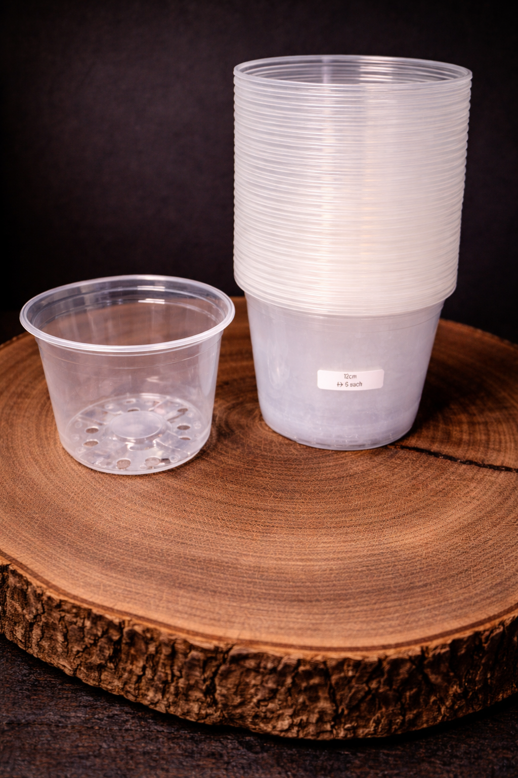 12cm Clear Pot