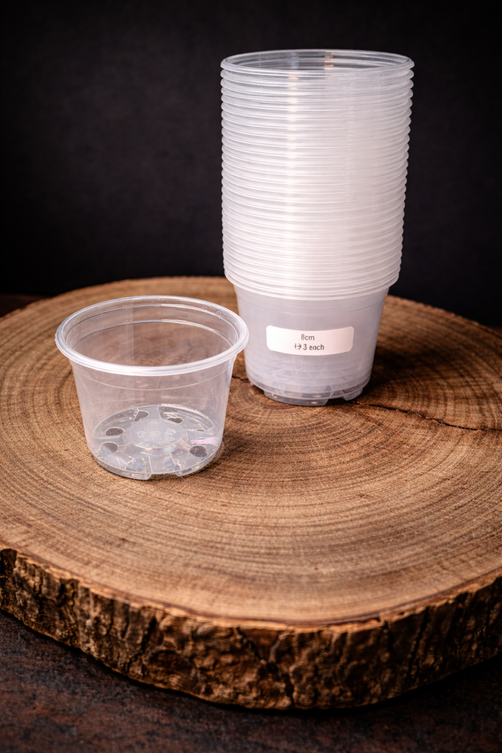 8cm Clear Pot