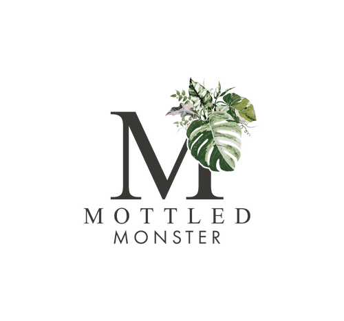 Mottled Monster 
